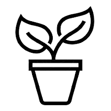 Plant in a pot